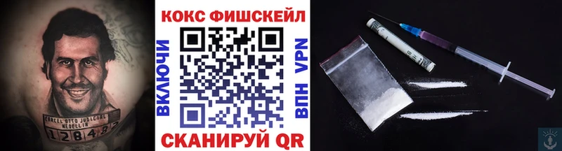 купить наркотики сайты  Сосновка  Cocaine Fish Scale 