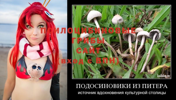 прущий лед Армянск