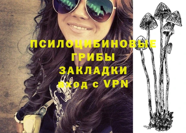 прущие крисы Арсеньев