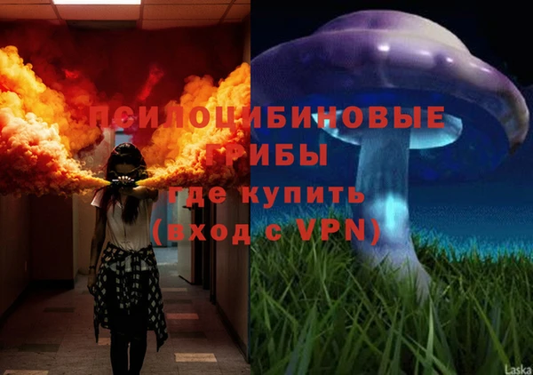прущие крисы Арсеньев