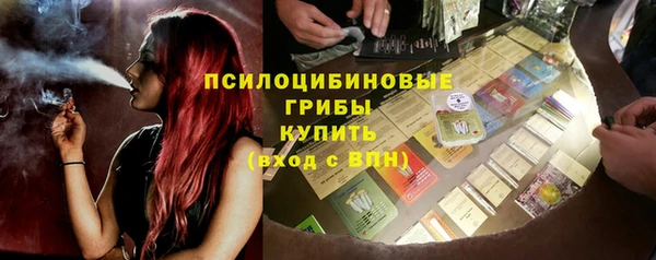 прущие крисы Арсеньев
